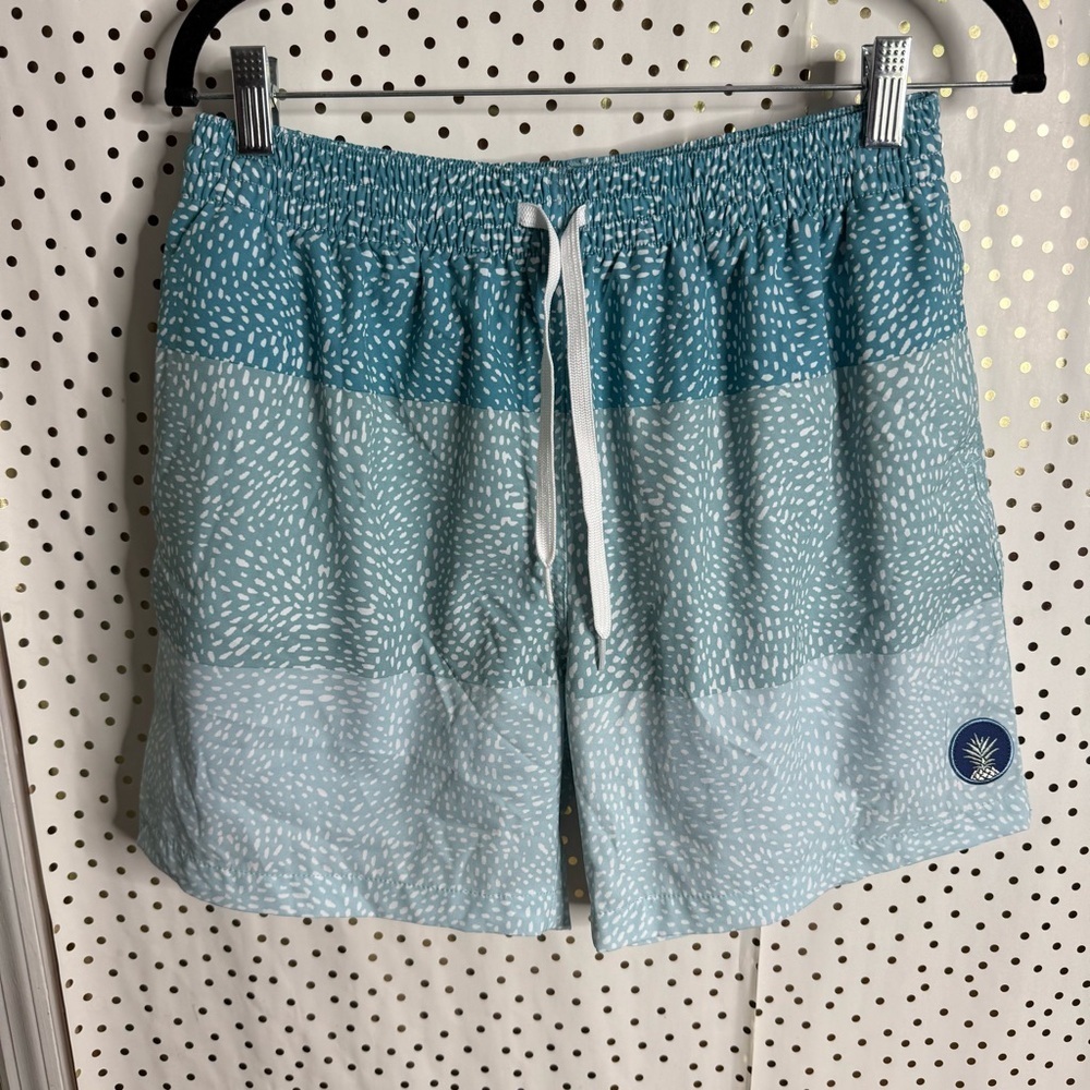 Chubbies Blue Patterned Shorts - image 1